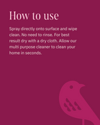 Mult-Surface Cleaner